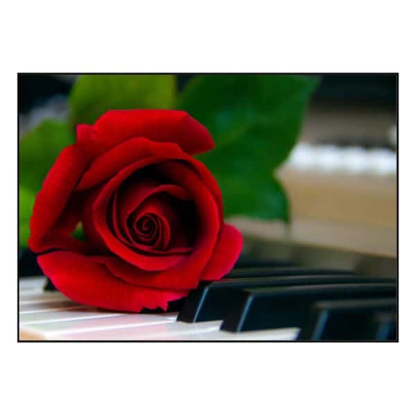 Fotoplakat med klaver med rød rose.